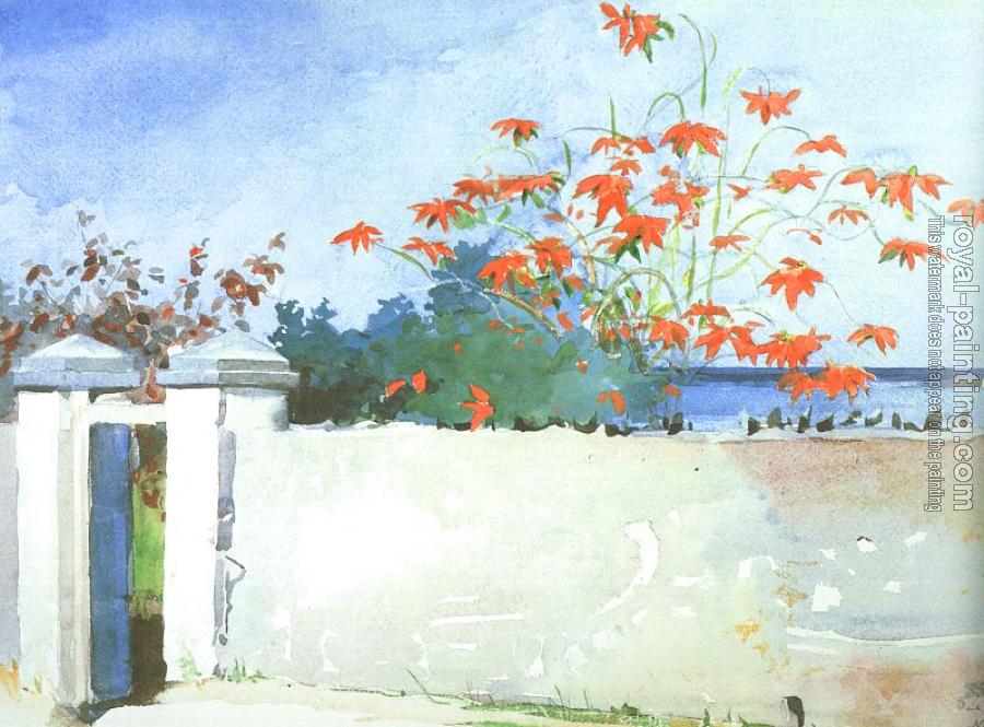 Winslow Homer : A Wall, Nassau